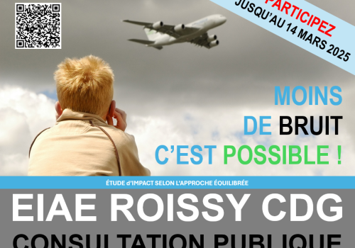 EIAE consultation